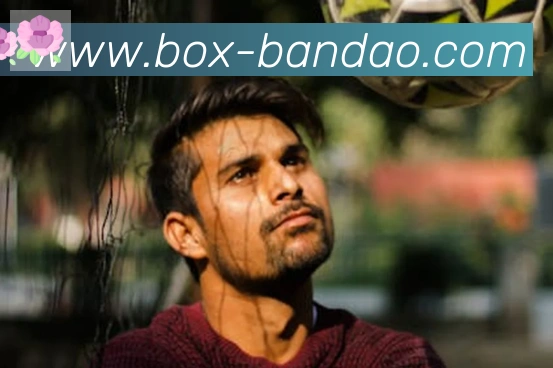 半岛体育app发展历程