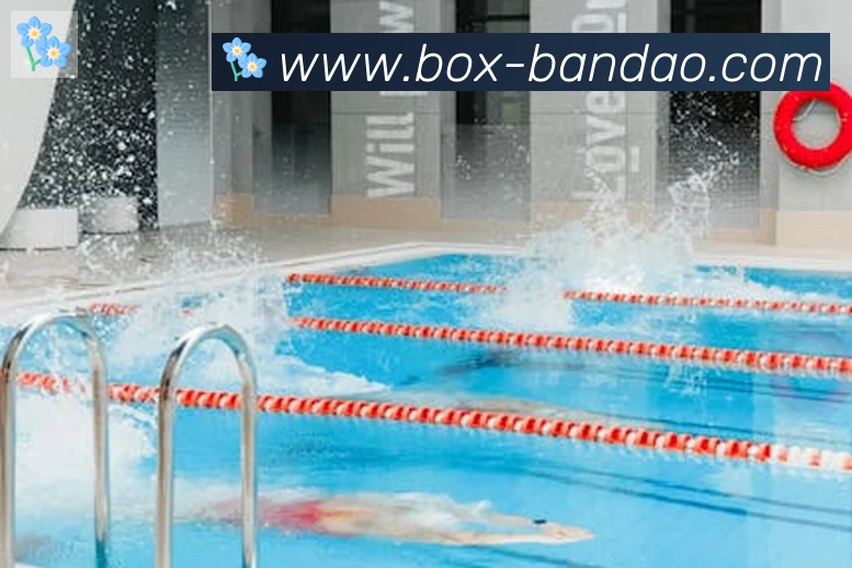 半岛体育appAPP 封面图