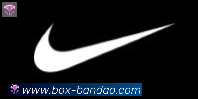 半岛体育app合作伙伴