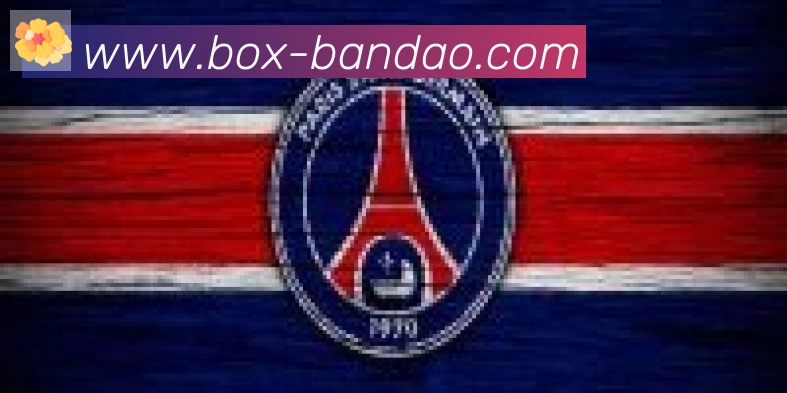 半岛体育app合作伙伴