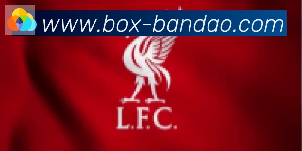 半岛体育app合作伙伴